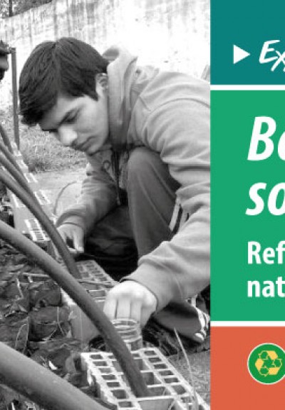 Proyecto “Bosque serrano, sostén de vida”