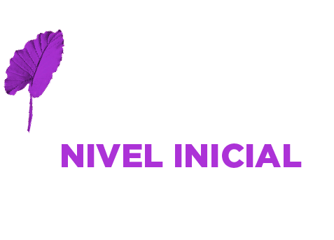 Regulaciones educativas Nivel Inicial