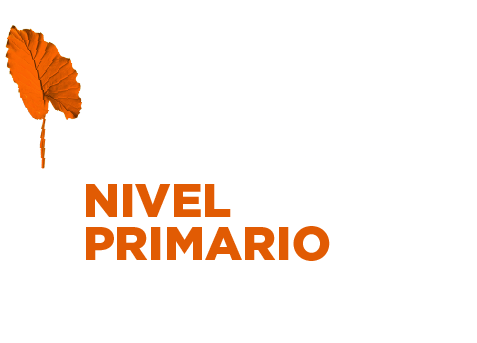 Regulaciones educativas Nivel Primario