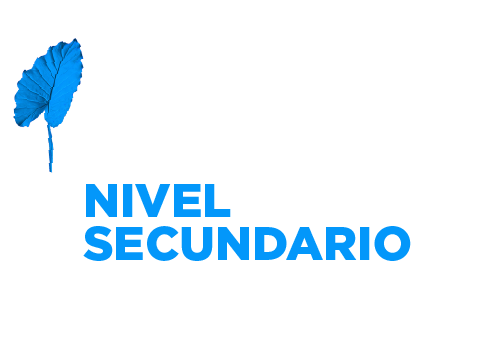 Regulaciones educativas Nivel Secundario