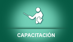 servicio en linea