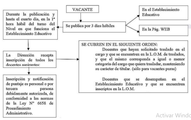 Grafico 6